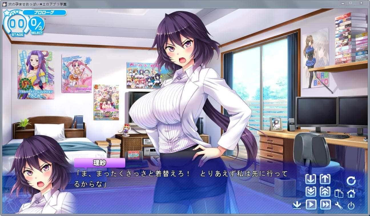 炎孕系列 剧情互动 资料图 3